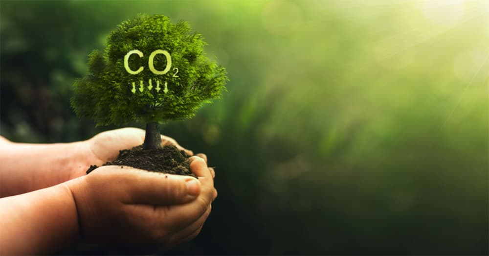Thị trường carbon không thể phát triển đơn độc mà đòi hỏi sự hợp tác xuyên biên giới - Ảnh 1