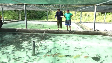 Người đảng viên tiên phong dám nghĩ, dám làm giữa đại ngàn - Ảnh 1