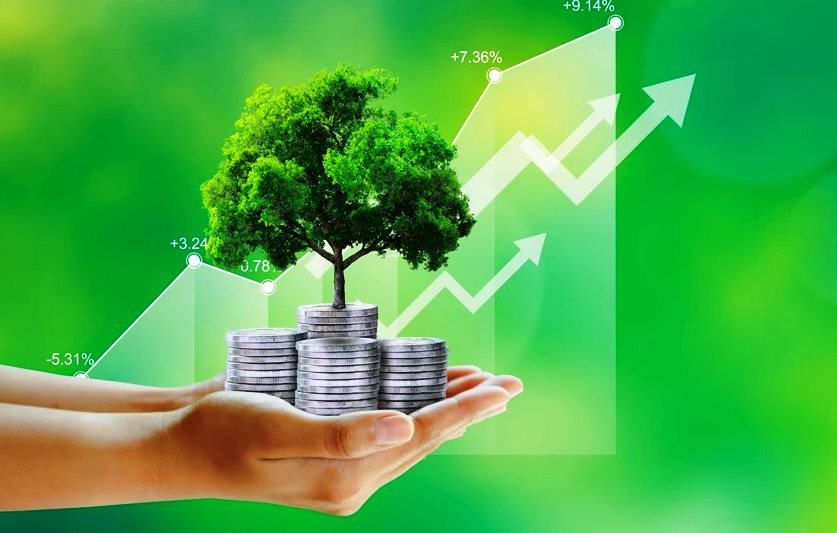 Kinh tế carbon thấp: Việt Nam đã thực sự sẵn sàng đến đâu? - Ảnh 2