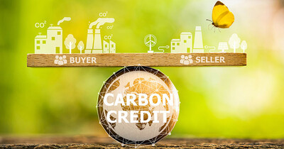 Tín chỉ carbon: “Chìa khóa” mở cánh cửa tài chính xanh