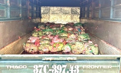 Phát hiện và xử lý 1,3 tấn nội tạng động vật bẩn không rõ nguồn gốc
