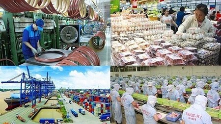 Kinh tế tư nhân – Thành tố tạo sức bật cho tăng trưởng