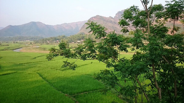 Người dân cần lưu ý những điều kiện gì khi chuyển nhượng đất nông nghiệp?