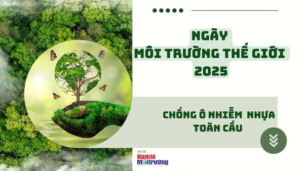 Ngày Môi trường Thế giới 2025: Chống ô nhiễm nhựa toàn cầu