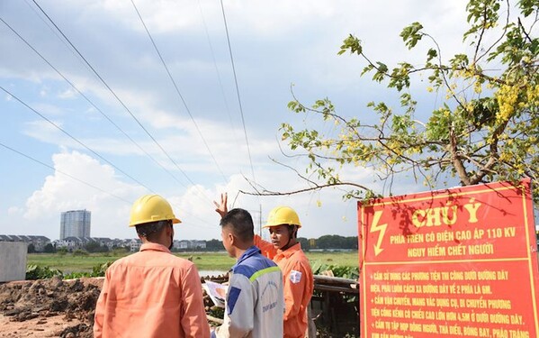 Thanh Hóa triển khai thực hiện nghiêm túc các quy định về quản lý hành lang an toàn lưới điện cao áp